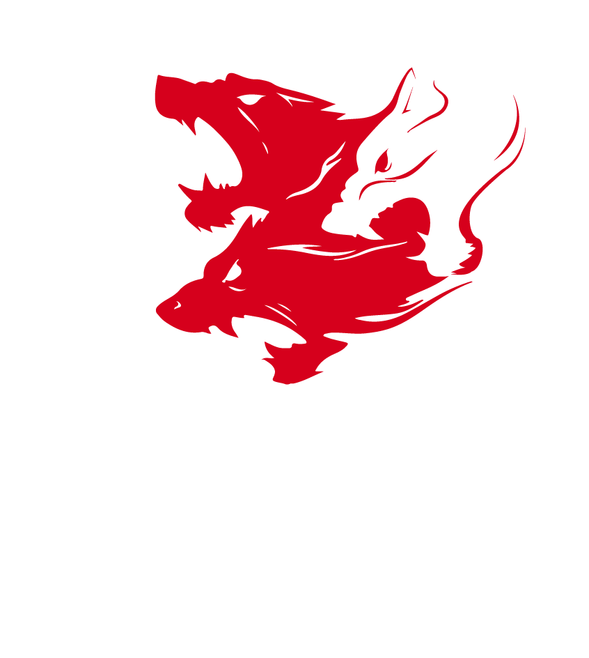 Logo CERBÈRE GROUP
